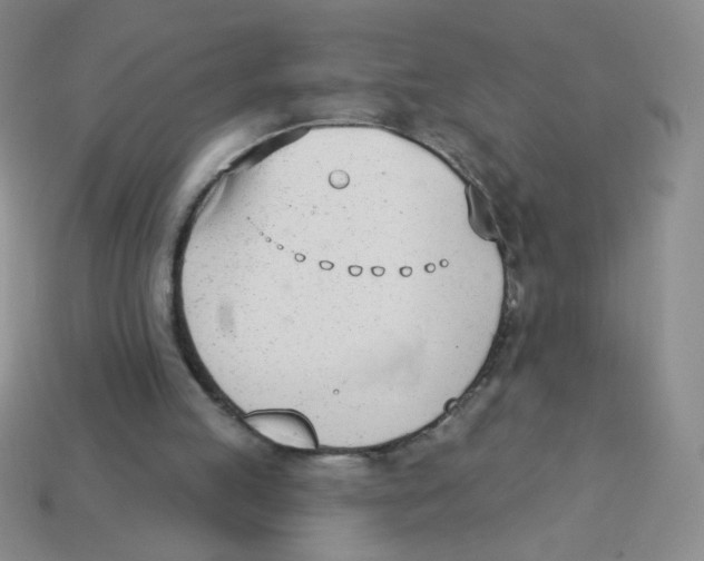X0000113360053200910131308