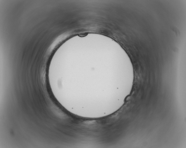 X0000113360054200910131308