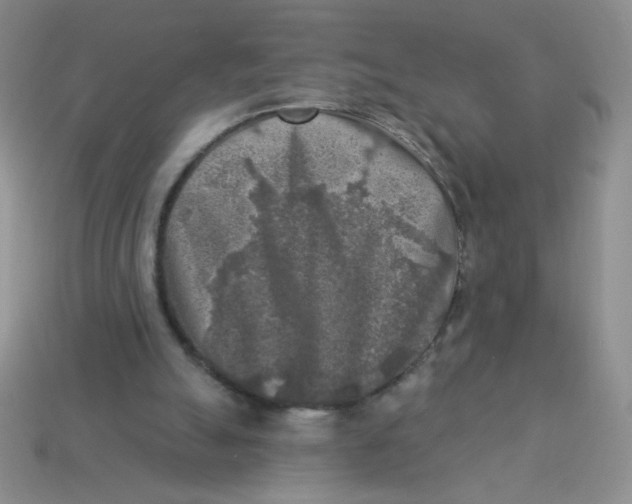 X0000113360055200910131308