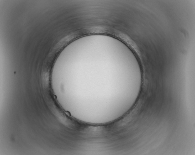X0000113360057200910131308
