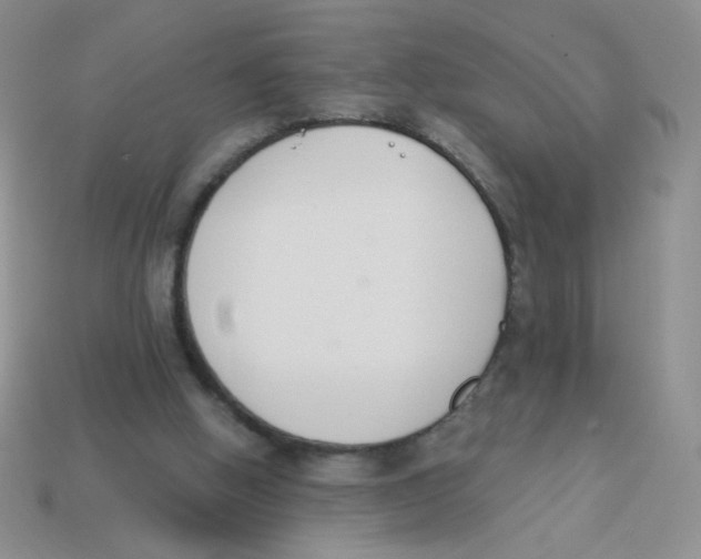 X0000113360058200910131308
