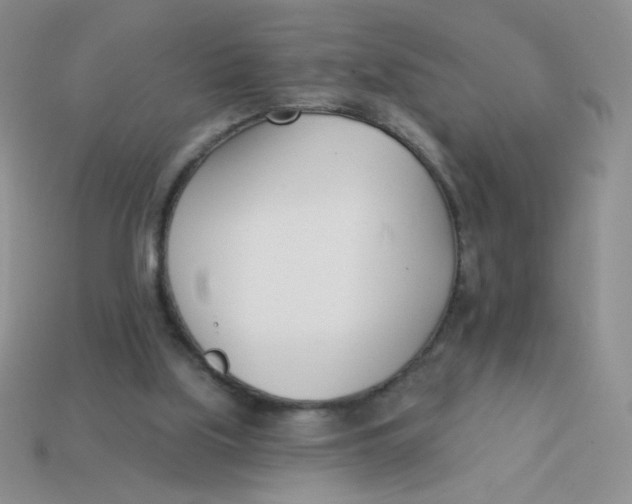 X0000113360059200910131308