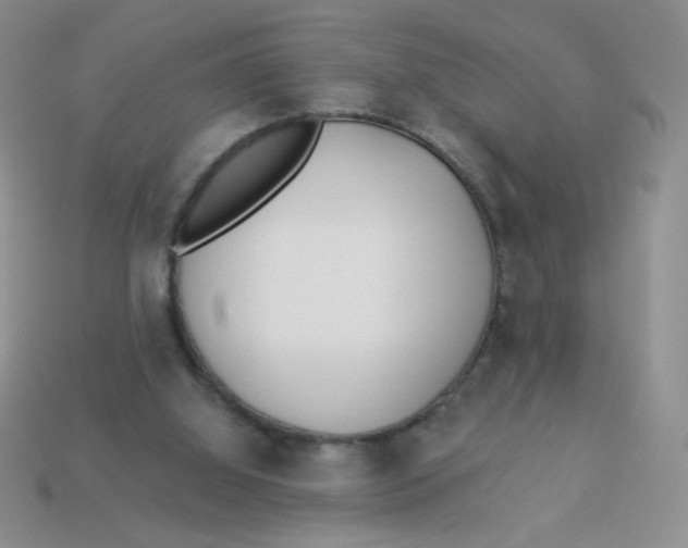 X0000113360060200910131309