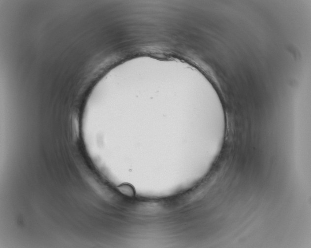 X0000113360061200910131309
