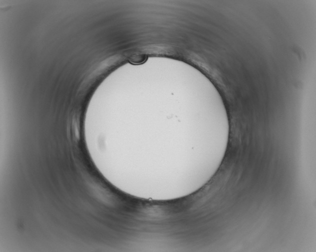 X0000113360062200910131309
