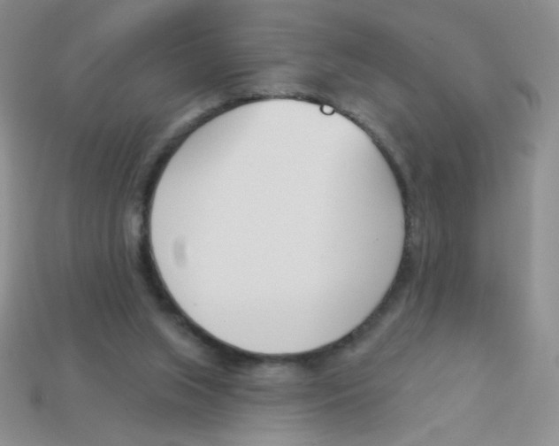 X0000113360063200910131309