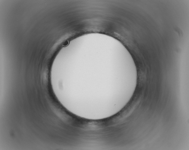 X0000113360064200910131309