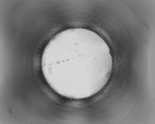 X0000113360065200910131309