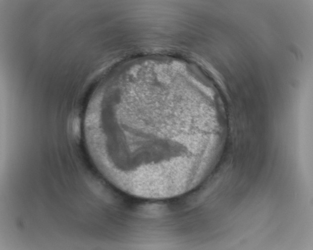 X0000113360067200910131309
