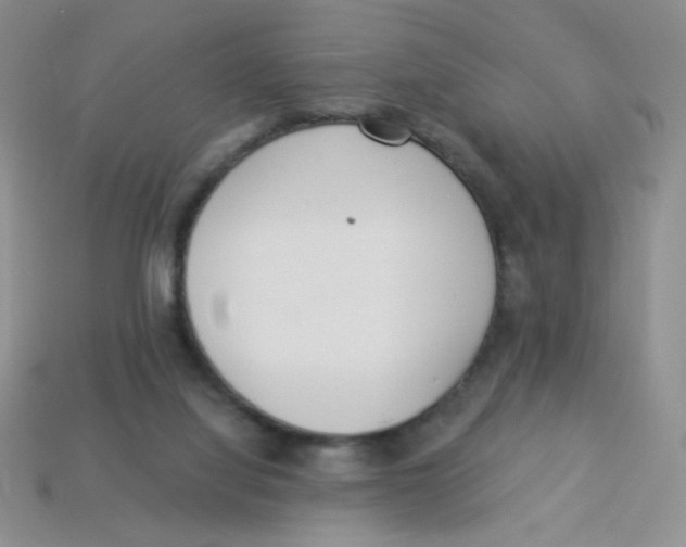 X0000113360068200910131309