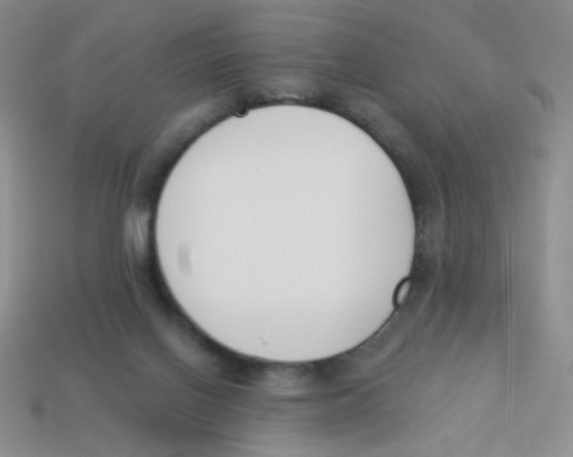 X0000113360070200910131309