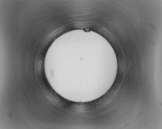 X0000113360071200910131309