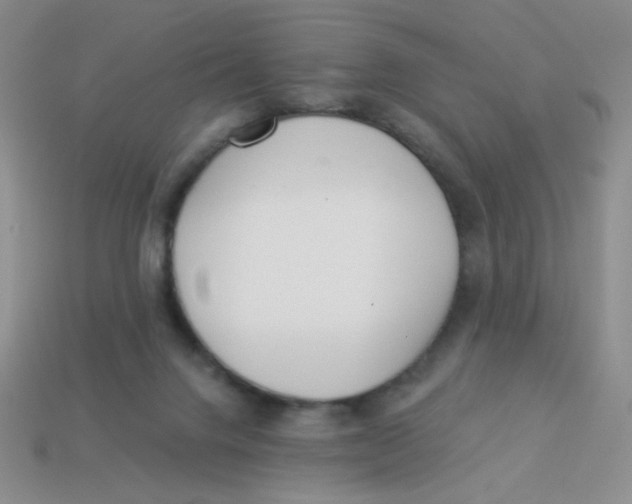 X0000113360072200910131309