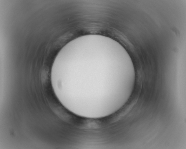 X0000113360073200910131309