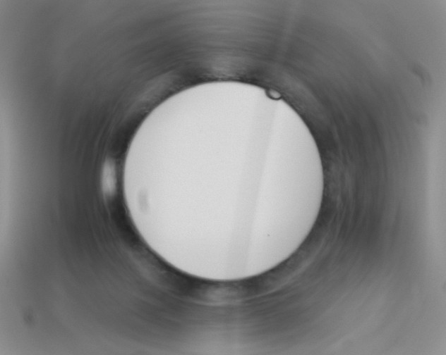 X0000113360075200910131309