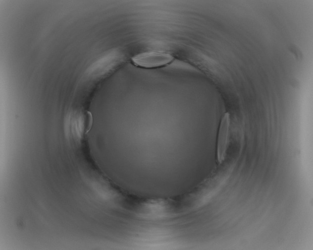 X0000113360076200910131309