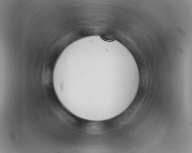 X0000113360077200910131309
