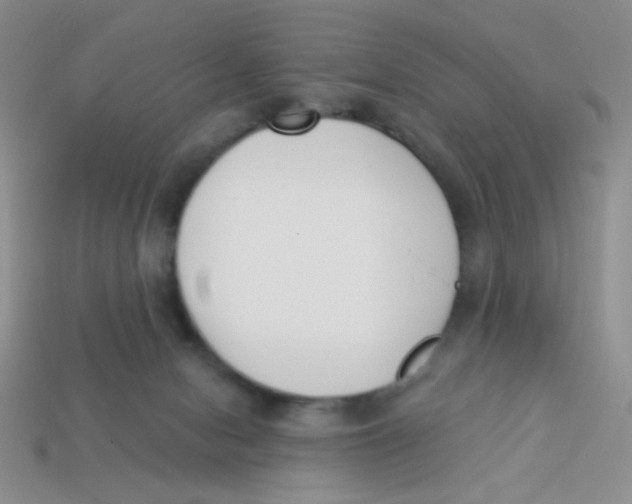 X0000113360078200910131309