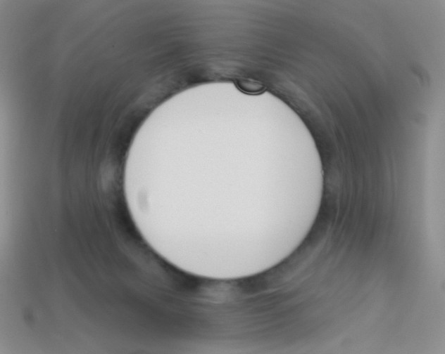 X0000113360079200910131309