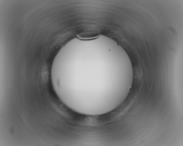X0000113360080200910131309