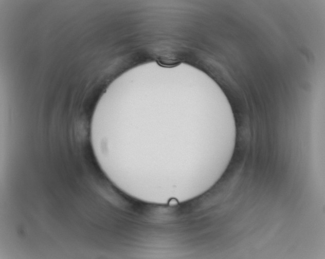 X0000113360081200910131309