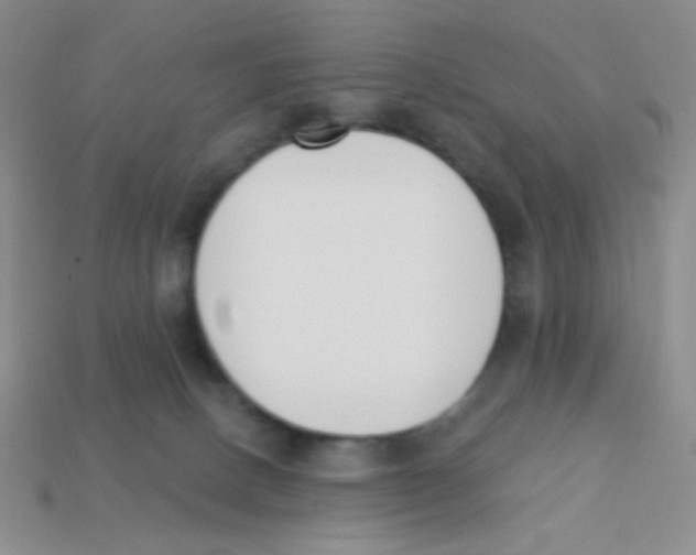 X0000113360082200910131309