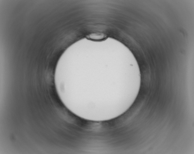 X0000113360083200910131309