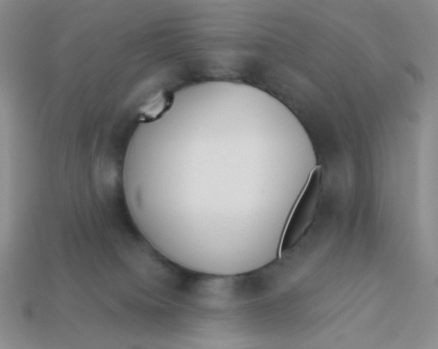 X0000113360084200910131309
