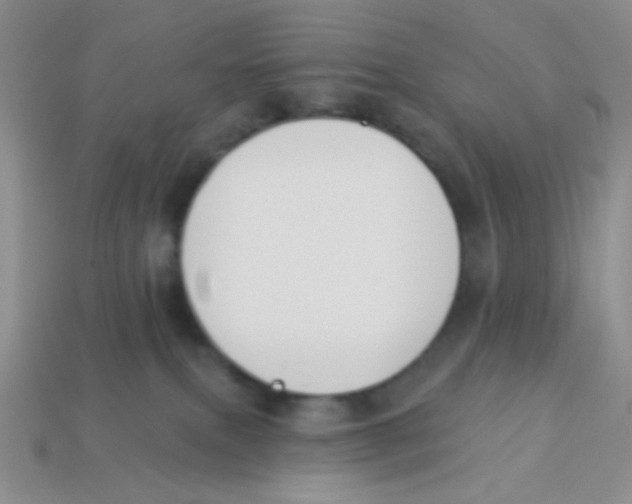 X0000113360087200910131309