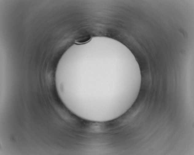 X0000113360088200910131309