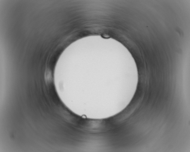 X0000113360089200910131309