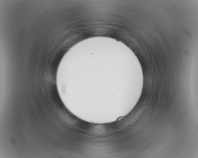 X0000113360091200910131309