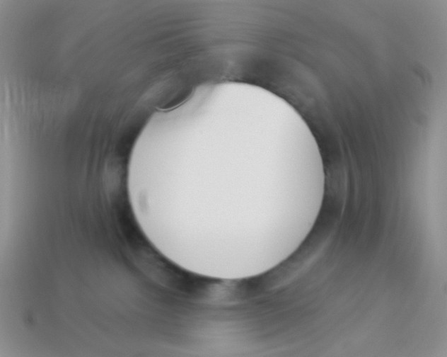 X0000113360092200910131309