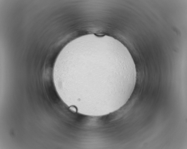 X0000113360093200910131309