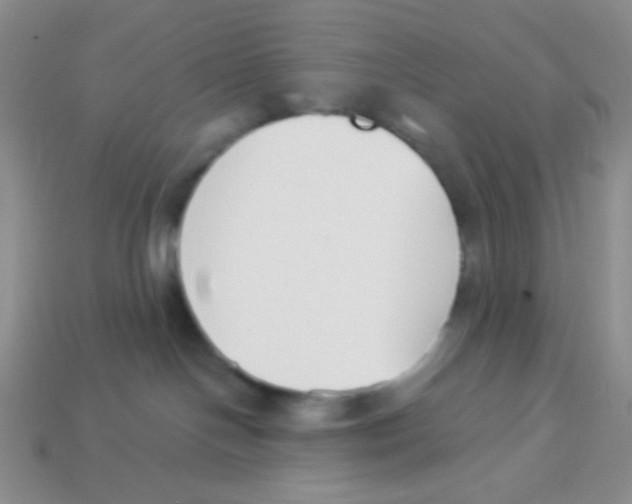 X0000113360094200910131309