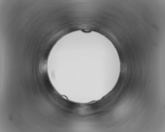X0000113360095200910131309