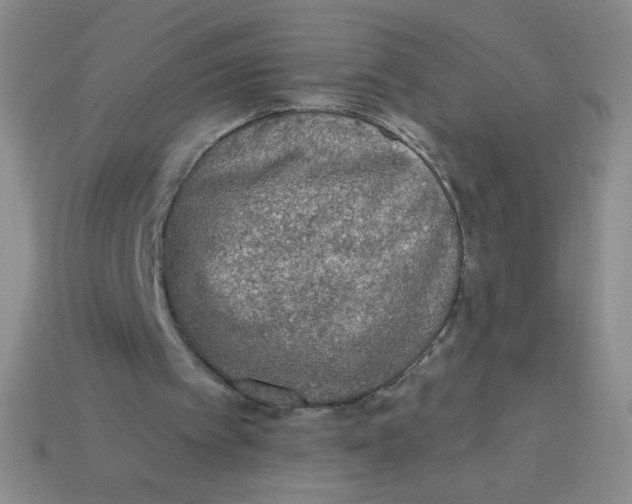 X0000113360097200910131308
