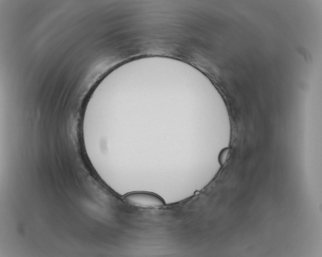 X0000113360098200910131308