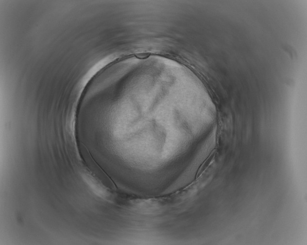 X0000113360100200910131308