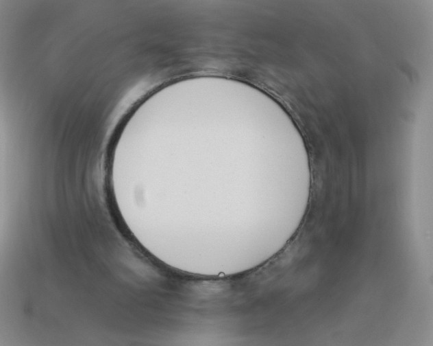 X0000113360102200910131308