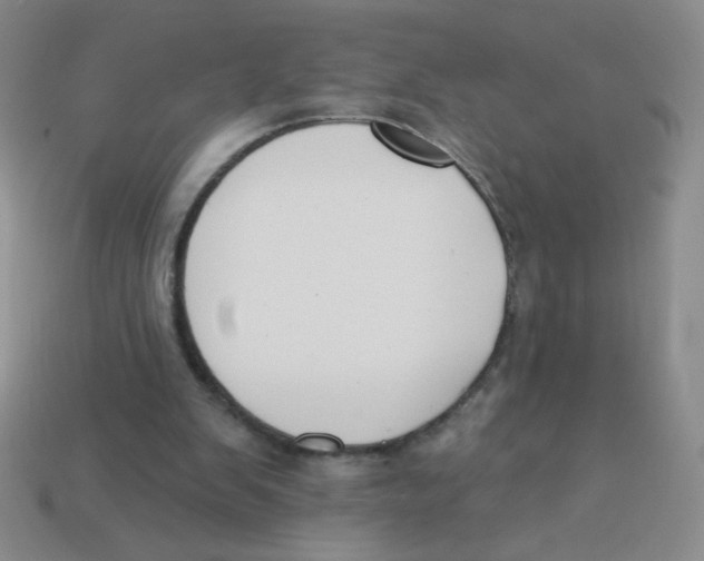 X0000113360103200910131308