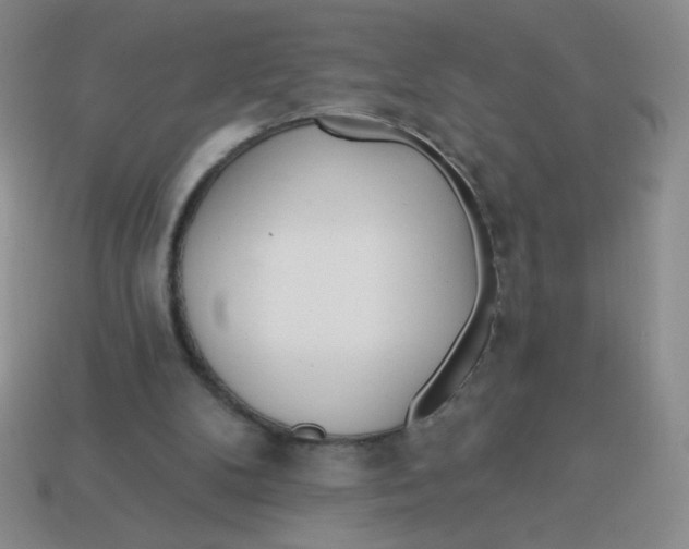 X0000113360104200910131308