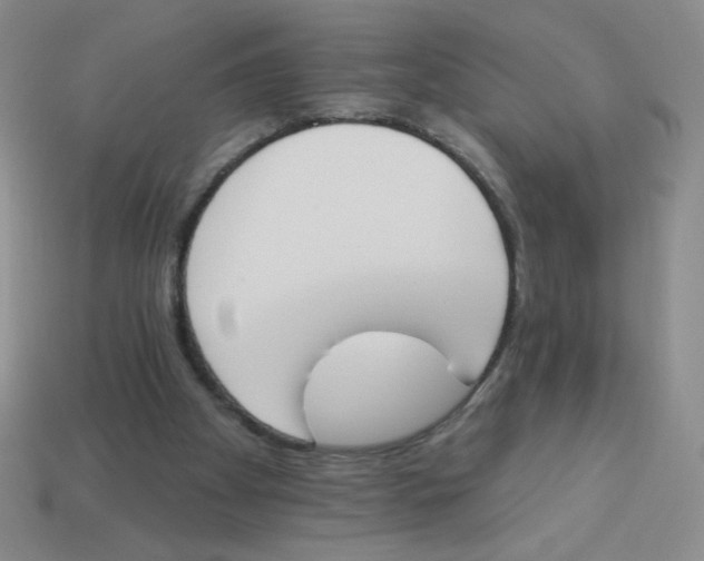 X0000113360105200910131308
