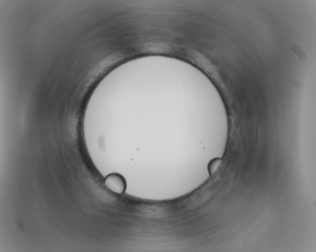 X0000113360106200910131308