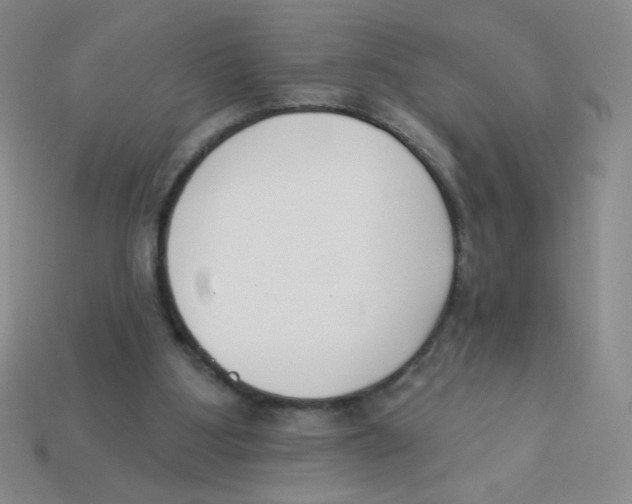 X0000113360107200910131308