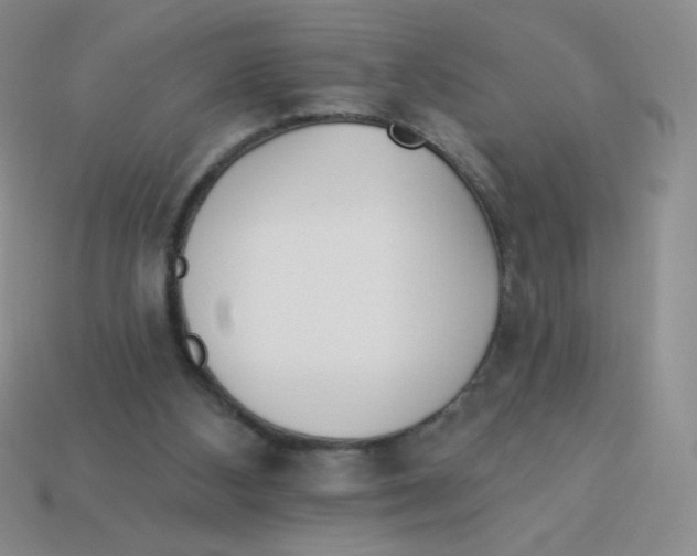 X0000113360108200910131308