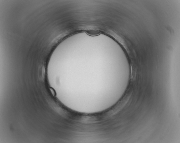X0000113360109200910131308