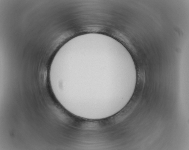 X0000113360110200910131308