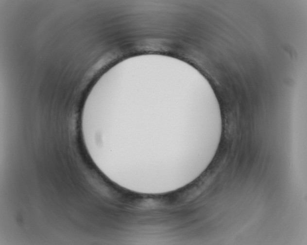 X0000113360111200910131308