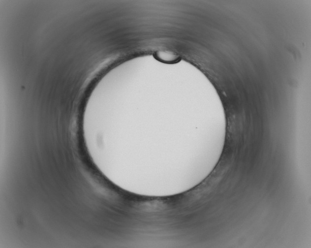 X0000113360112200910131308